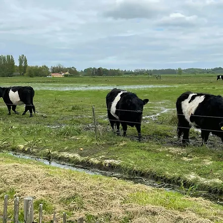 Charming Summer House Near Dalbybugten Mesinge