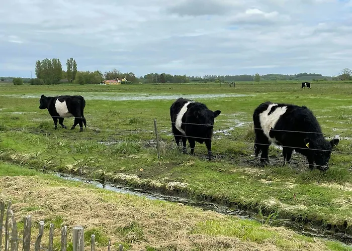 Charming Summer House Near Dalbybugten Mesinge